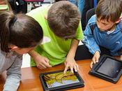 Libros texto código abierto, clave para bajar costes aumentar éxito escolar