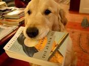 libros para leer sobre perros