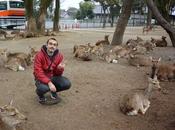 Nara, Todaiji ¡los ciervos asesinos!