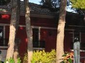 Vinos Selección Dominio Vega