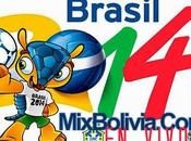 vivo Copa Mundial fifa Brasil 2014