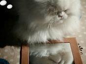 Estamos Agustito XCIII. Otro #funny