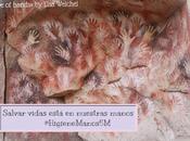 Salvar vidas está nuestras manos #HigieneManos5M