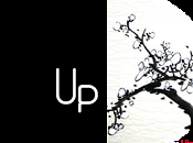 Wrap Stargazer Abril