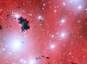 Guarderías estelares