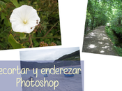 Recortar enderezar Photoshop