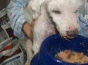 Murcia. años abandonado,