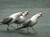 máximo acontecimiento cultural España: Premio Planeta