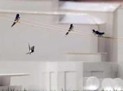 "Buscando Equilibrio Natural" exposición Mónica Gener