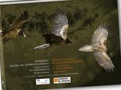 Nuevo libro sobre dispersión juvenil quebrantahuesos (Gypaetus barbatus) Pirineos (España-Francia).