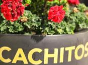 Cachitos Diagonal