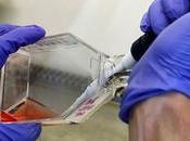 EE.UU. pone ojos vacuna cubana contra cáncer pulmón