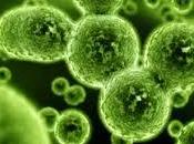 deberías saber soñar microbios.