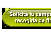 NUEVO SERVICIO BLOG necesitarás!