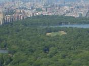 Central Park