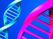 ¿Que factor determina salud?
