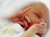 madre puede beneficiar cerebro bebé prematuro