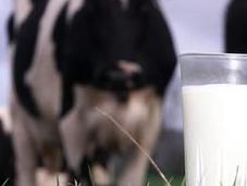 leche recomendada requerida médicos