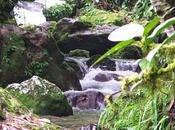 importancia agua para turismo valle mocoties.