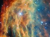 bella imagen Nebulosa Medusa