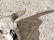 Stephane Furber: Daphne (2):