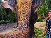 Elefante toma selfie imagen vuelve viral