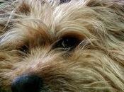 Estamos Agustito XCVI. Ducha... #funny