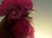 Desayuno, luego existo