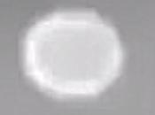 ¿Fantasma? ¿OVNI? polvo? misterioso orbe descubierto Paseo Fama Espacio Florida