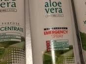 Aloe vera Sorteo