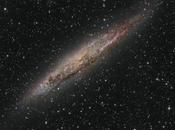 galaxia espiral cercana 4945