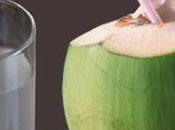 Coco verde