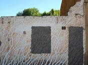 Cáscara