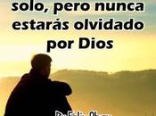 Solo, pero olvidado