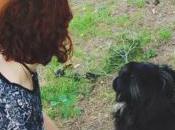 MISS Cándida, tenemos invitada Lansy blog “Más allá arcoiris gris” hablándonos sobre “Los perros deben nuestros compañeros”