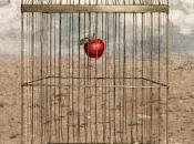 Libertad, Pablo Gonz