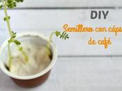 DIY: Semillero capsulas cafe