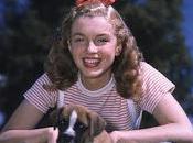mascotas Marilyn Monroe