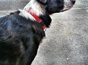 Androidografia Barakaldo CDLXXIX. Vigia #fotografia