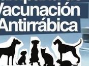 Campaña vacunación 2015