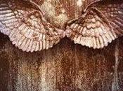 Reseña: Angelfall Susan