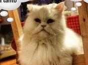 Estamos Agustito XCVIII. Uisss camara... #funny