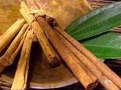 Pierde peso fácilmente canela laurel