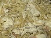 Pasta gulas queso