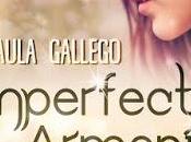 Reseña Imperfecta Armonía, Paula Gallego