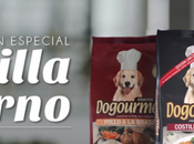 probaron encantó. Entérate aquí cómo descubrimos