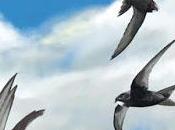 Habemus librum. está disponible libro blog