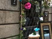 DecorAcción 2015