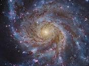 M101: galaxia Molinete