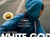 'White God'